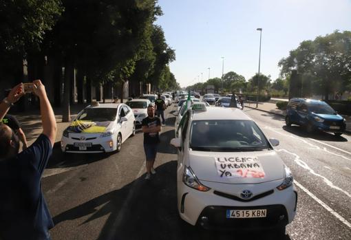 Unos 200 taxistas protestan en Córdoba con una marcha lenta por las licencias VTC