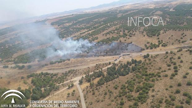 El Infoca de Córdoba controla en menos de una hora un incendio de pinos en Belalcázar