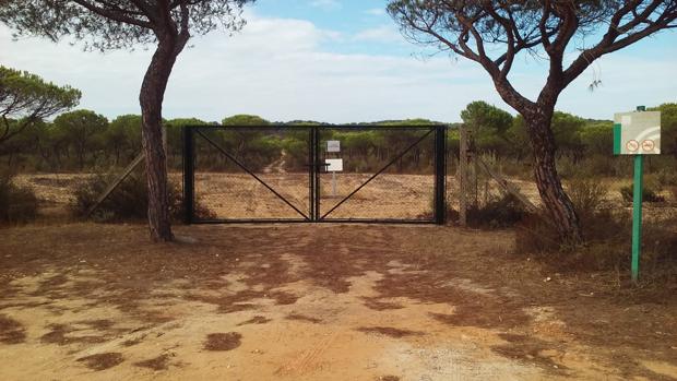 La Junta valló en Doñana una finca de 700 hectáreas que no es suya