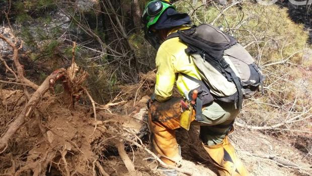 El Infoca da por controlado el incendio forestal de Almonaster La Real