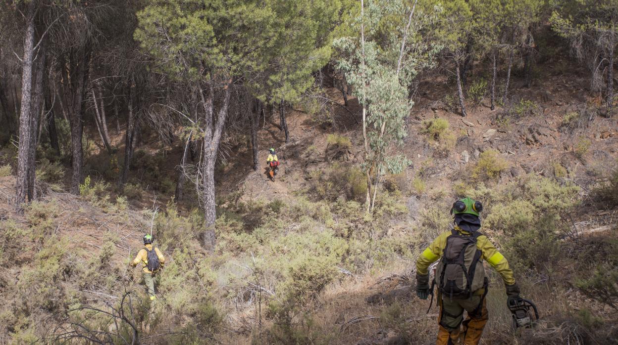 Efectivos trabajando en el incendio de Almonaster