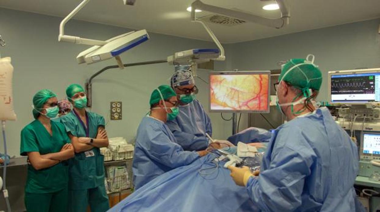 El centro donde más trasplantes se han realizado ha sido el Hospital Virgen del Rocío de Sevilla