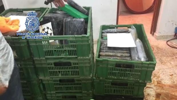 Congelaron media tonelada de cocaína en Málaga para mandarla a Holanda