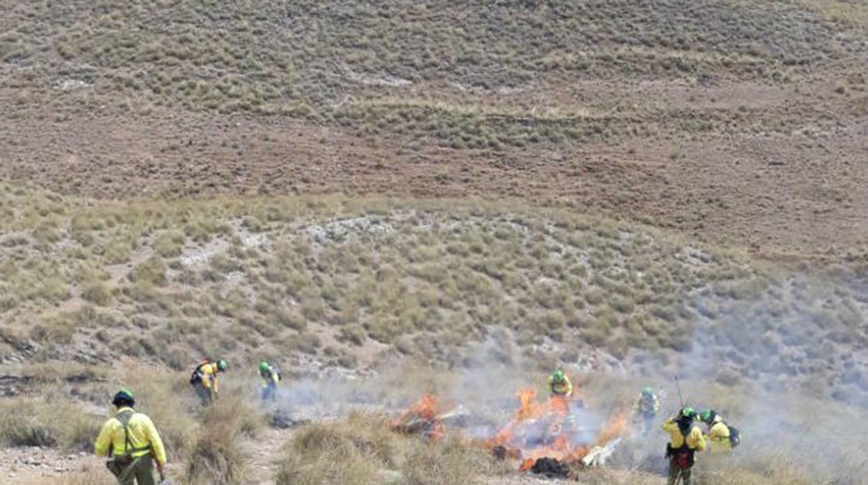 Una medida de la Junta de Andalucía propicia la jubilación parcial de 100 bomberos forestales