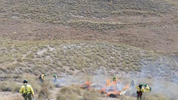 Una medida de la Junta de Andalucía propicia la jubilación parcial de 100 bomberos forestales