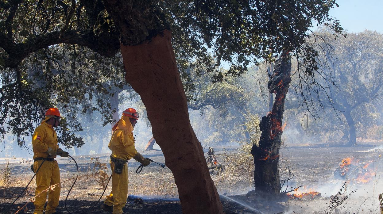 Bomberos del Infoca en labores de extinción en Córdoba