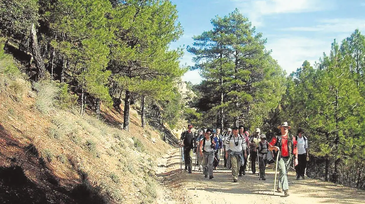 Un grupo de senderistas durante una jornada de excursión en Jaén
