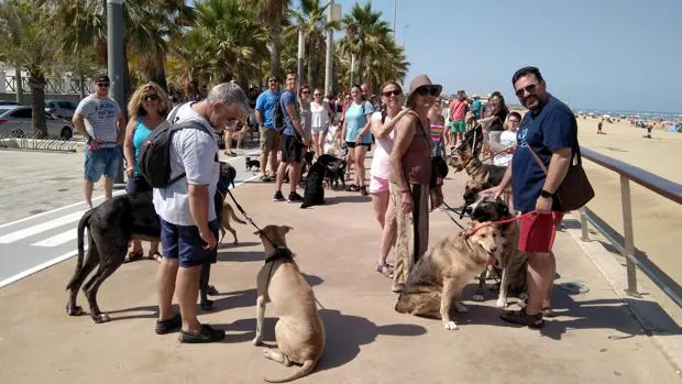Concentración en el paseo marítimo para reivindicar el acceso de las mascotas en las playas