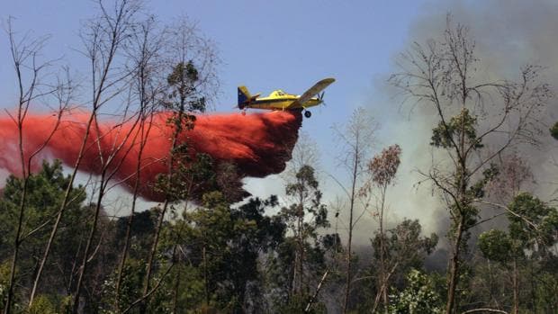 Asaja propondrá a los sindicatos una reunión para valorar el impacto de la falta de medidas de prevención de incendios forestales