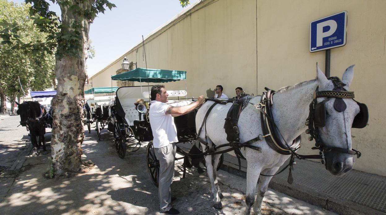 Coches de caballos en Santos Mártires