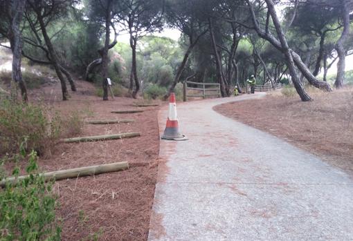 Operarios trabajando en la colocación de un tramo del vallado de protección