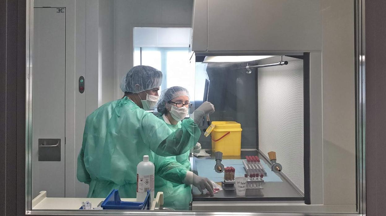 Dos integrantes del personal de Farmacia, en esta sala del hospital de La Línea