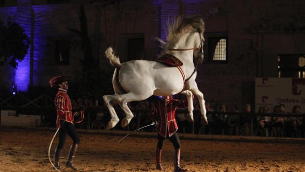 Los obstáculos al mundo del caballo en Córdoba