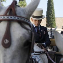 Todo lo que necesitas saber sobre la Feria del Caballo de Córdoba 2018 Cabalcor