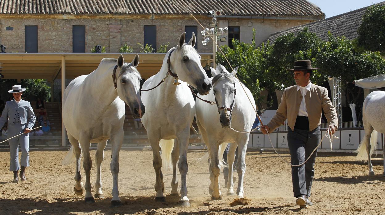 Celebración del Cabalcor el pasado año