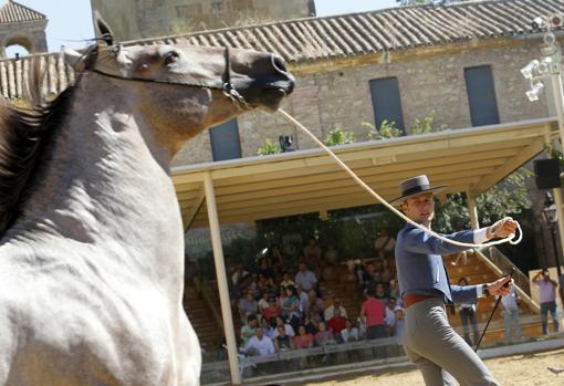 Todo lo que necesitas saber sobre la Feria del Caballo de Córdoba 2018 Cabalcor