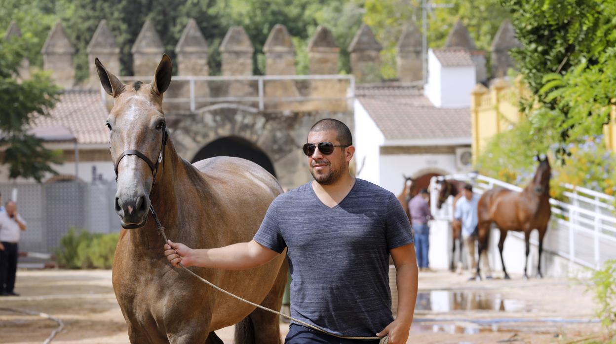 Taylor, en Caballerizas Reales con su yegua «Tica»