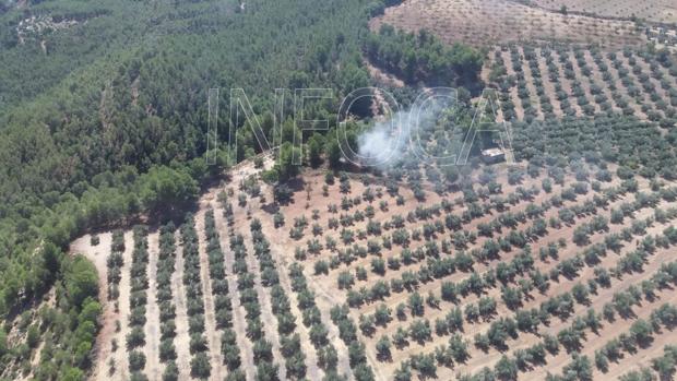 Un incendio arrasa superficie forestal de un paraje situado entre Jaén y Granada