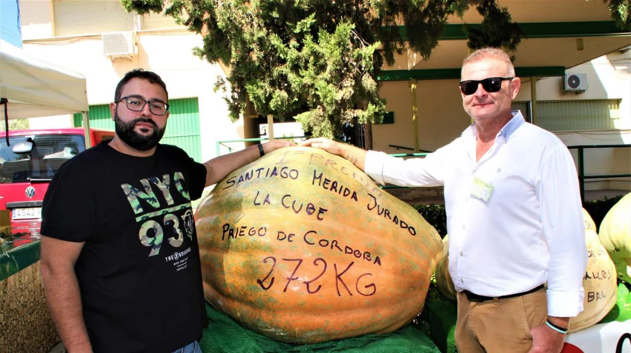 Los cultivadores de la calabaza gigante expuesta en Priego