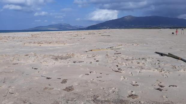 Denuncian nuevos actos vandálicos para practicar kitesurf en un paraje natural de Tarifa