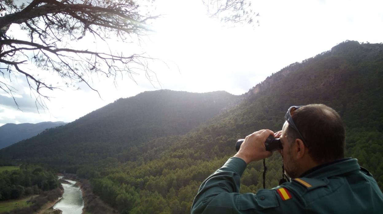 Un agente de la Guardia Civil vigila en un paraje de un parque natural de Jaén