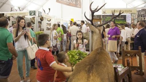 Las citas que no te puedes perder este fin de semana en Córdoba