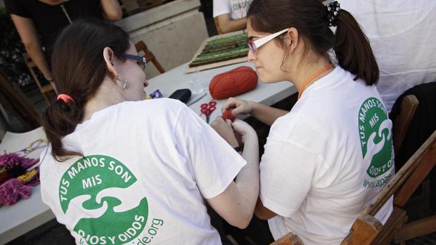 Andalucía se queda corta en la atención de alumnos con necesidades educativas especiales