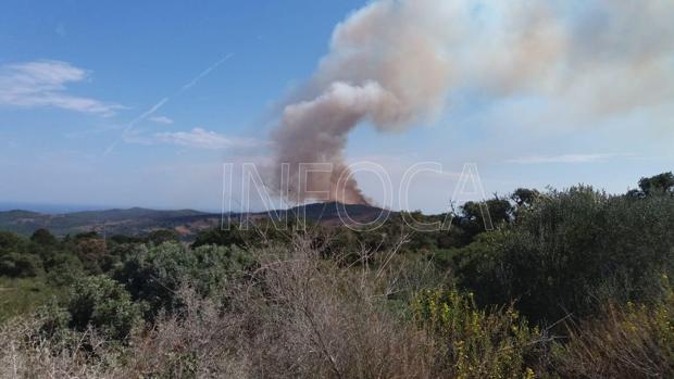 Declarado otro incendio forestal en un paraje natural en Tarifa