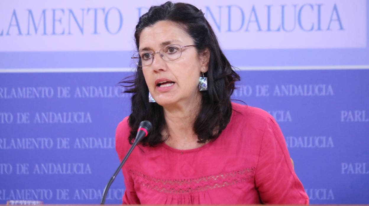La exparlamentaria Carmen Molina será la candidata a presidir la Junta por Equo Verdes-Iniciaitiva Andalucía