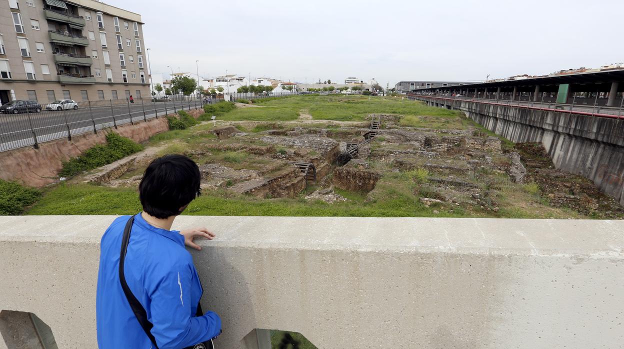 Un joven observa el yacimiento arqueológico de Cercadilla en Córdoba