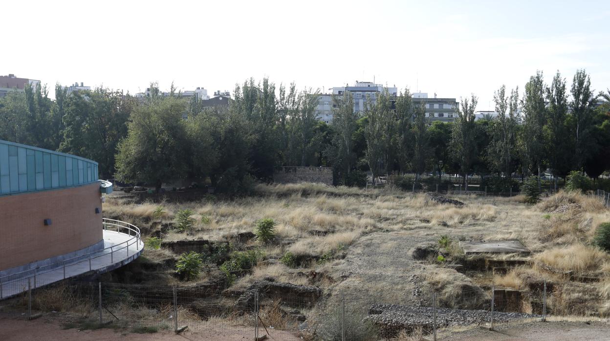 Vista actual del anfiteatro romano de Córdoba, donde es visible la maleza