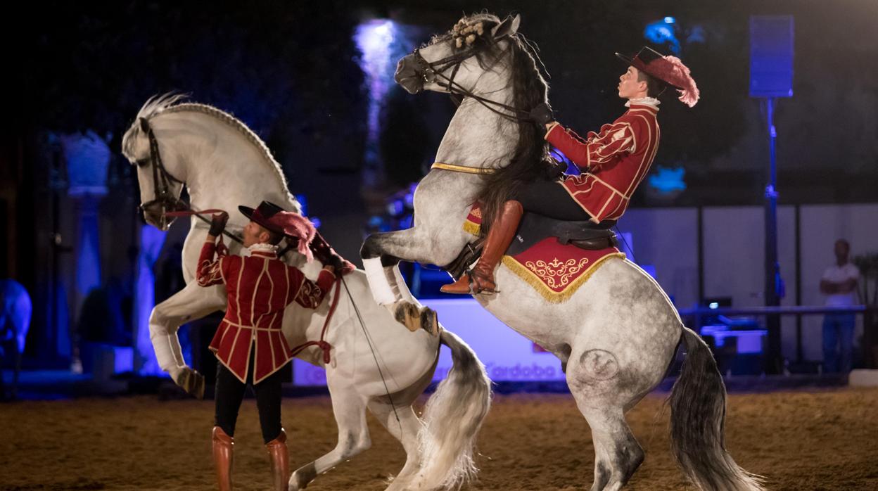 Espectáculo de Córdoba Ecuestre en las Caballerizas Reales