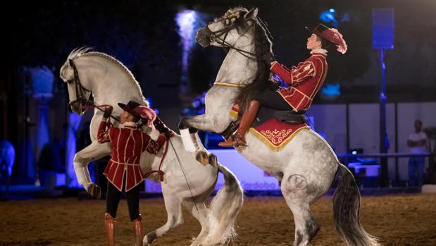 El Ayuntamiento, en busca de convertir a Córdoba en destino del turismo del caballo