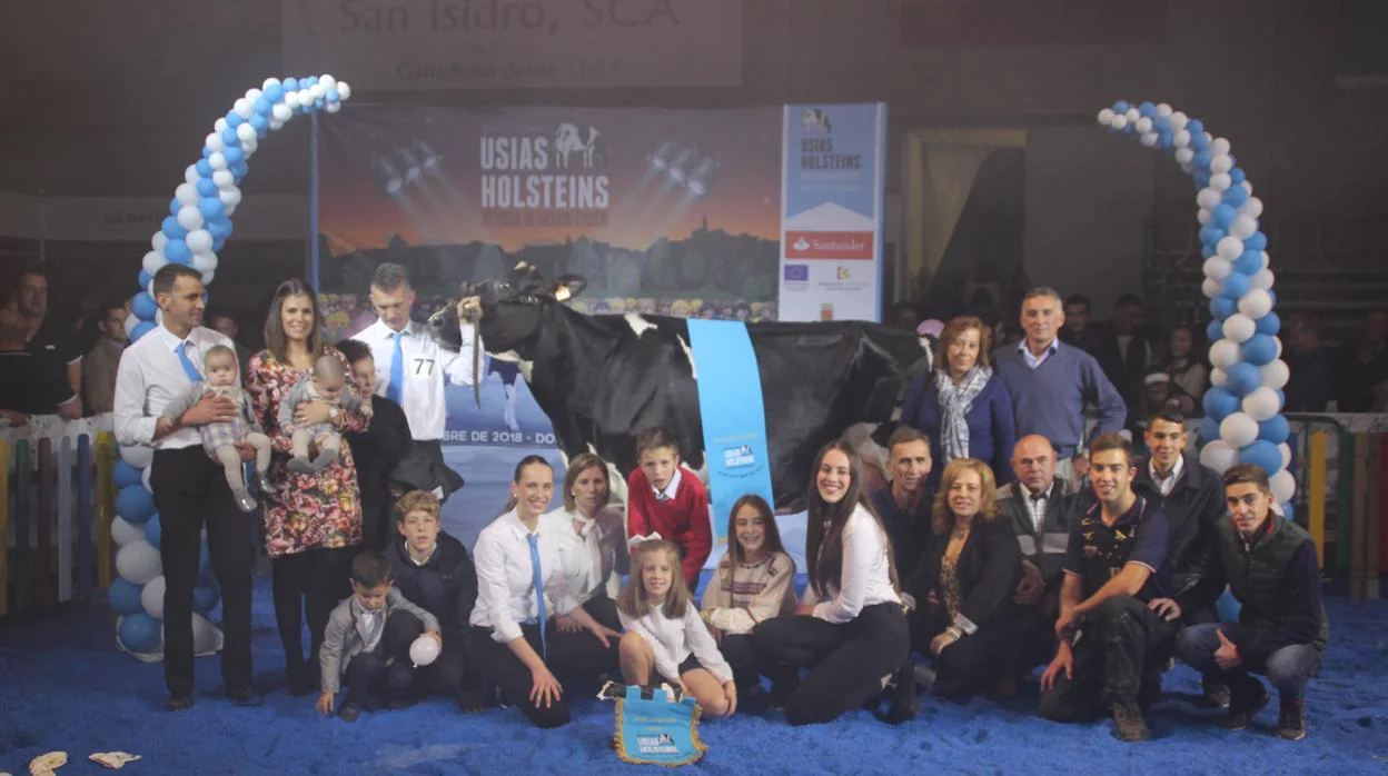 La vaca ganadora en ela Feria del Ganado Frisón de Dos Torres
