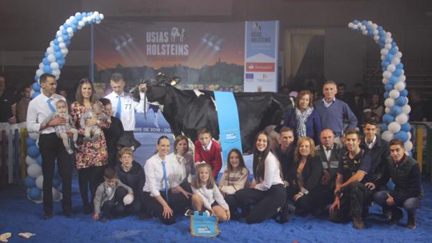 La Feria del Frisón de Dos Torres ha sido un éxito por las visitas y el altísimo nivel genético animal