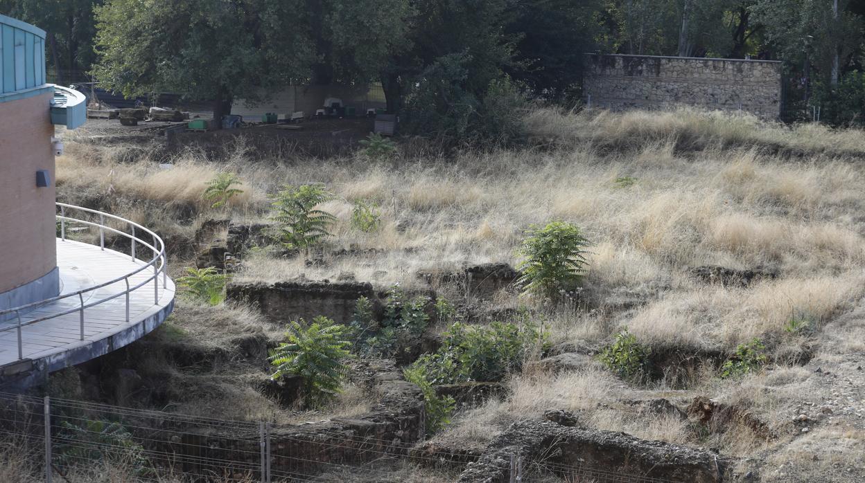 Restos del anfiteatro romano tras el Rectorado de la Universidad de Córdoba