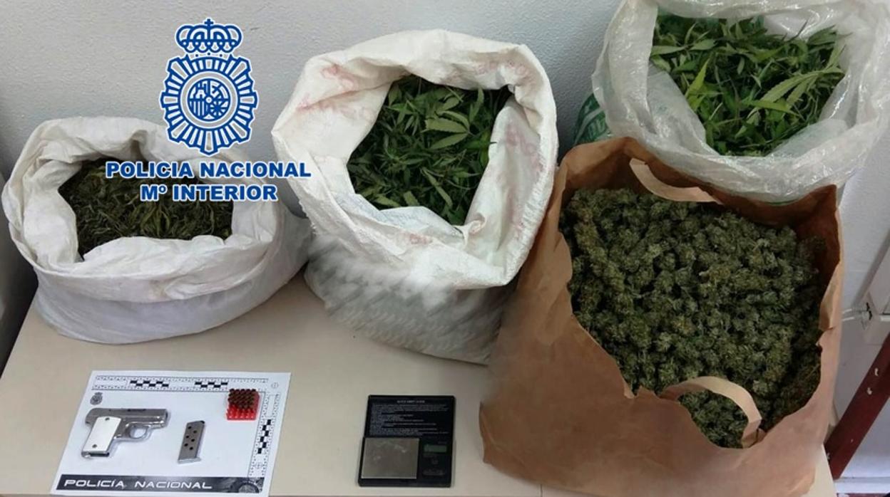 Marihuana intervenida en El Higuerón