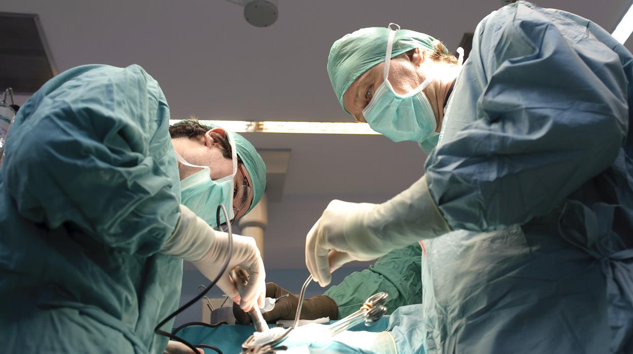 El Servicio Andaluz de Salud oferta 3.336 plazas para médicos en estas oposiciones