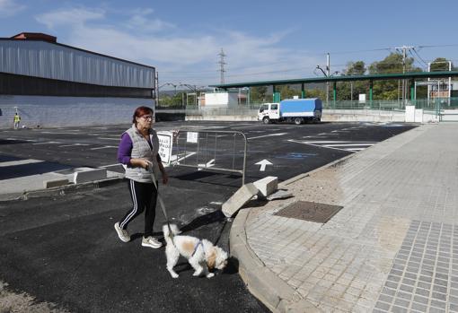 Una mujer junto a la estación de Alcolea