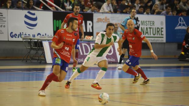 El Córdoba CF Futsal se enfrentará al Jaén Paraíso Interior en los octavos de final de la Copa del Rey