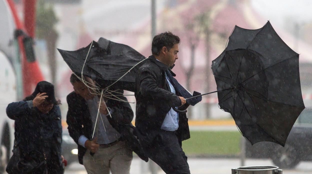 Varias personas sujetan sus paraguas intentando que no se les vuele debido al fuerte viento y a la lluvia en Málaga