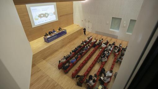 Imagen del remozado plenario del Palacio de Congresos de Córdoba