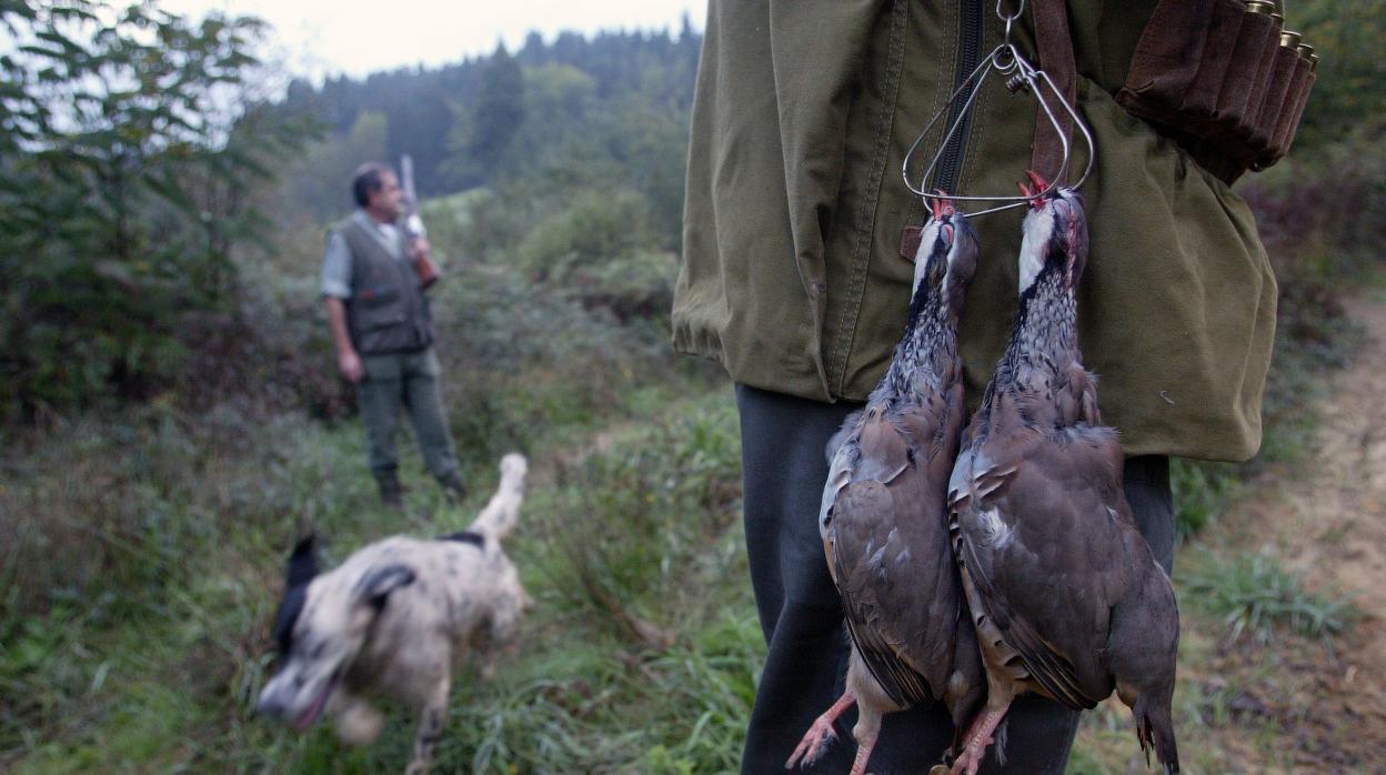 Cazadores en un ojeo de perdices