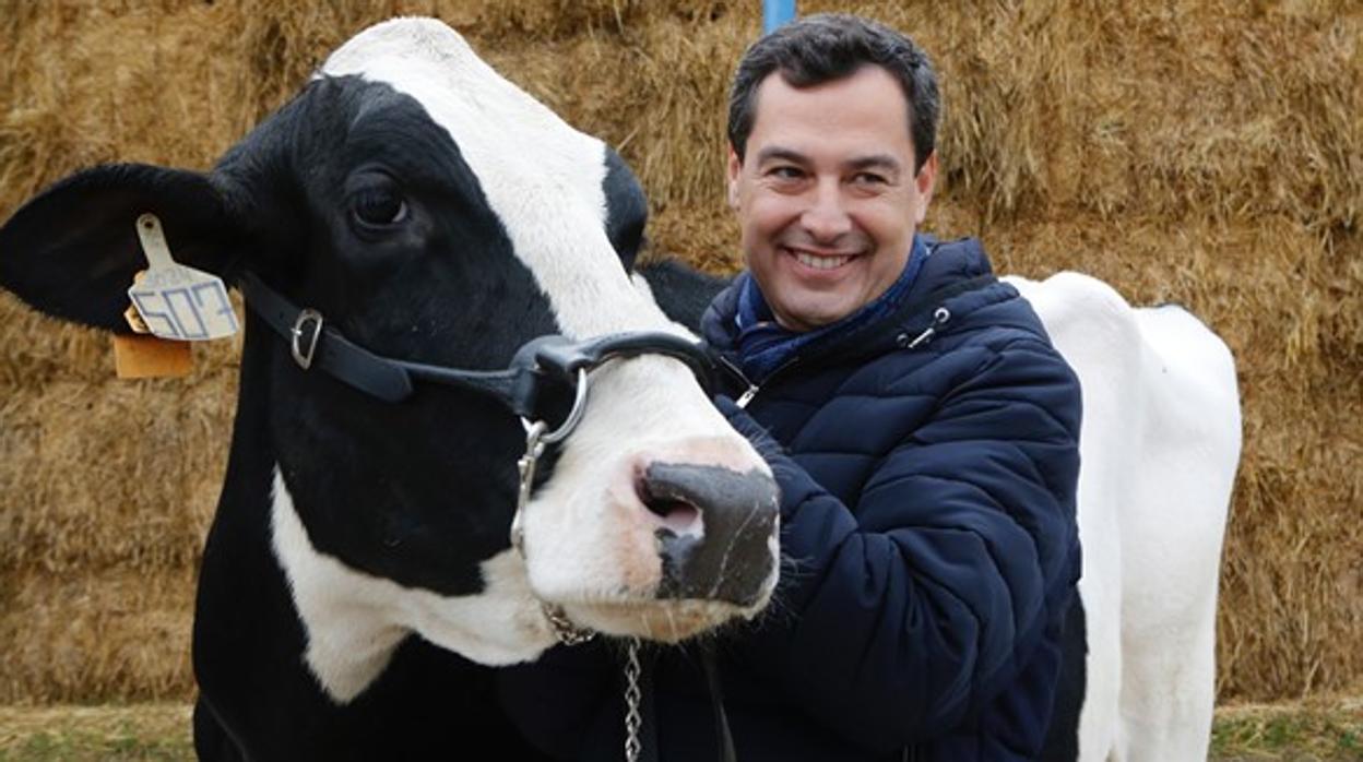 Juanma Moreno, durante su visita hace unos días en la localidad cordobesa de Añora