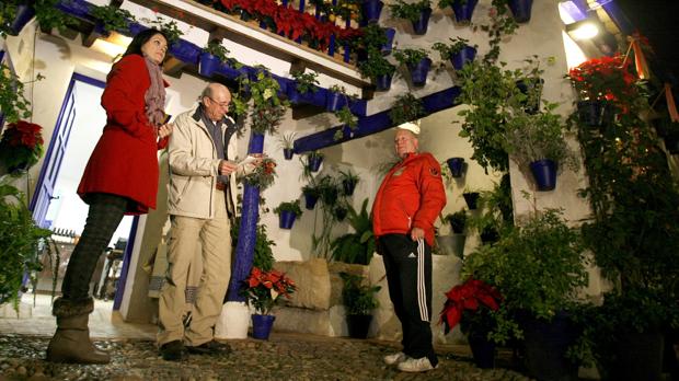 Ocho rutas en Navidad para conocer los Patios de Córdoba