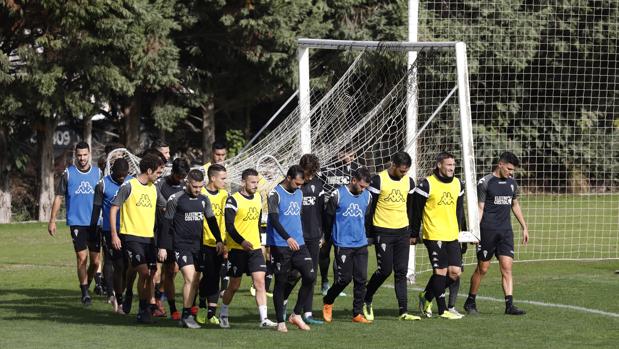 Las bajas del Córdoba CF ante el Real Zaragoza