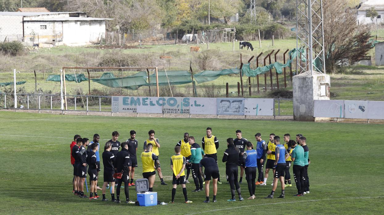 La plantilla del Córdoba, en el entrenamiento con Curro Torres