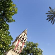 ¿Quieres conocer la Torre de la Mezquita-Catedral de Córdoba? Aquí todos los detalles de la visita