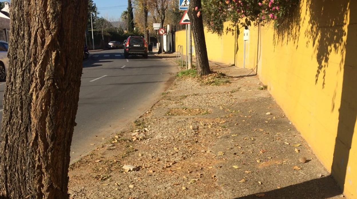 Camino que se encuentra junto al colegio La Salle