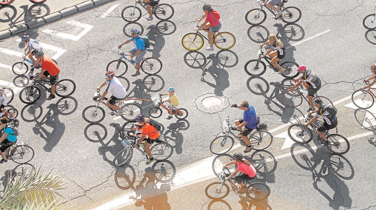 heno audiencia Unirse Córdoba registra casi 500 accidentes con bicicletas en seis años